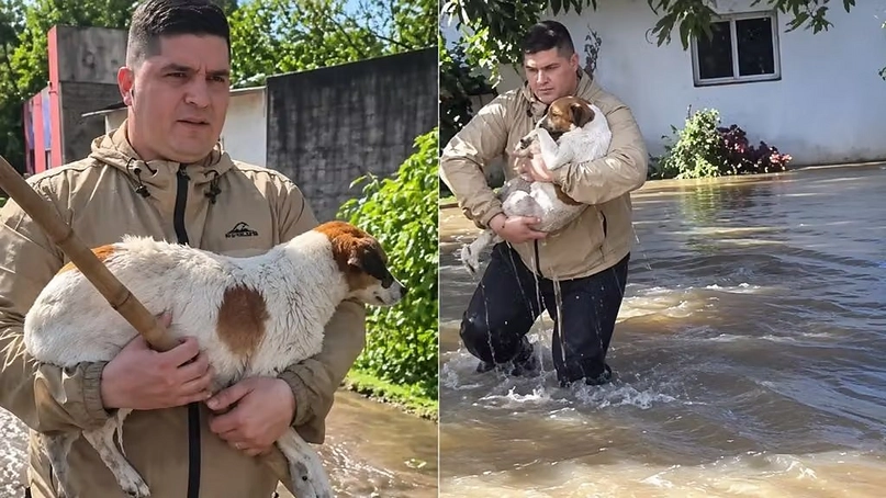 Conmovedor rescate en Chaco: un periodista de A24 interrumpió su cobertura de las inundaciones para salvar a un perro de la corriente